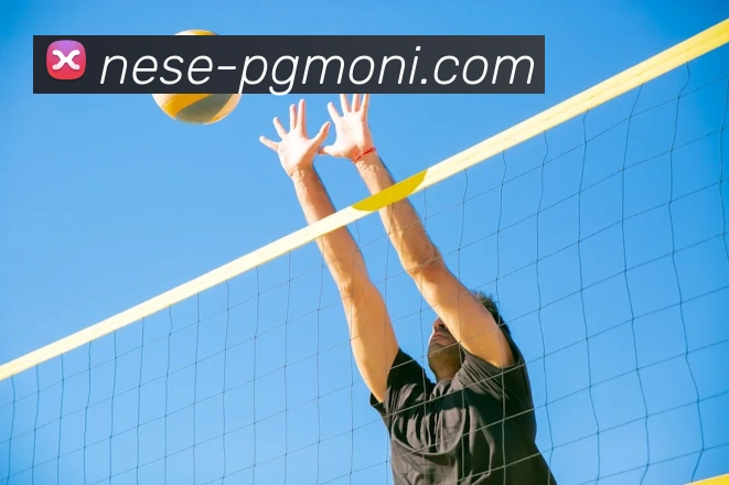 pg模拟器品牌故事